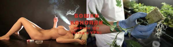 мяу мяу мука Няндома