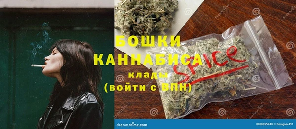 ГАЛЛЮЦИНОГЕННЫЕ ГРИБЫ Осинники