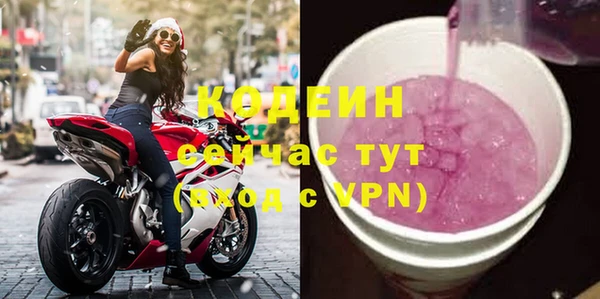 ГАЛЛЮЦИНОГЕННЫЕ ГРИБЫ Осинники