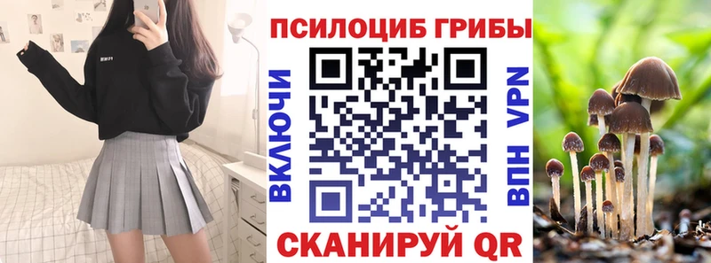 mega ссылка  Петровск-Забайкальский  Псилоцибиновые грибы Cubensis 