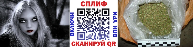 OMG ссылка  Петровск-Забайкальский  Бошки марихуана план 